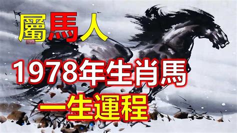 1978年屬馬運勢|78馬年生人：五行特質